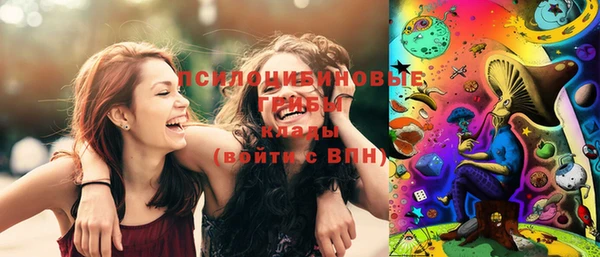 spice Покачи