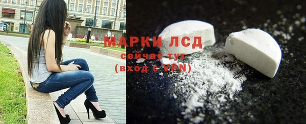spice Покачи