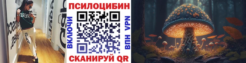 Галлюциногенные грибы Psilocybe  Сусуман 